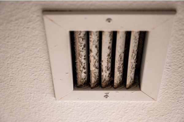 why clean air ducts, mold growth
